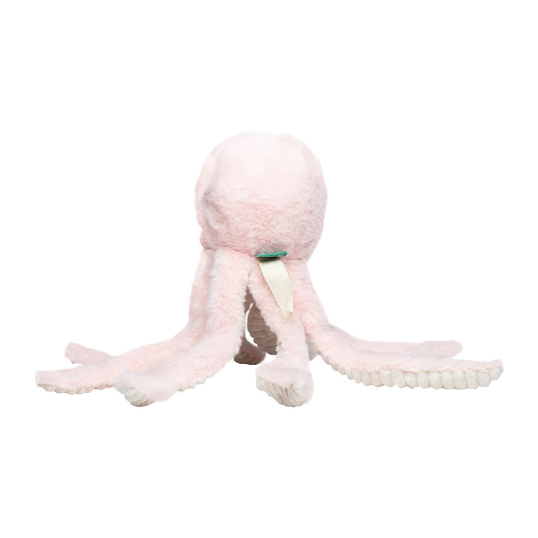 Octopus - achterkant